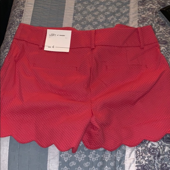 NWT LOFT shorts - Picture 4 of 4